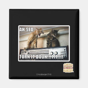 Íman Ah volta do Sed ele para baixo!!