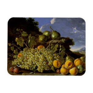 Íman Ainda vida com a placa das uvas, pêssegos, peras