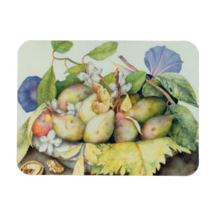 Íman Ainda vida com ameixas, nozes e jasmim (w/c sobre