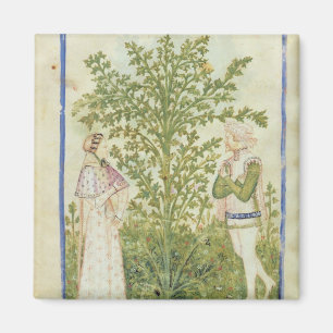 Íman Aipo do Lat de Nouv Acq, 'de Tacuinum Sanitatis