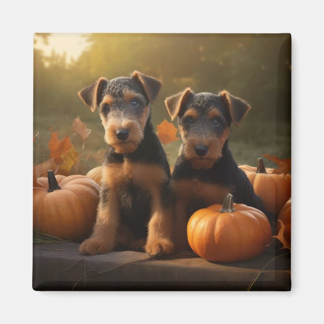Íman Airedale Puppy Autumn Delight Pumpkin (Frente)