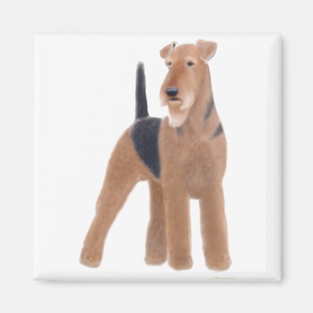 Íman Airedale Terrier Magnet (Frente)