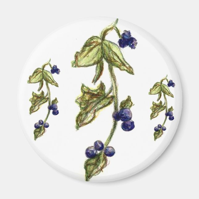 Íman Airelas Azuis Em Magneta De Vinha (Frente)