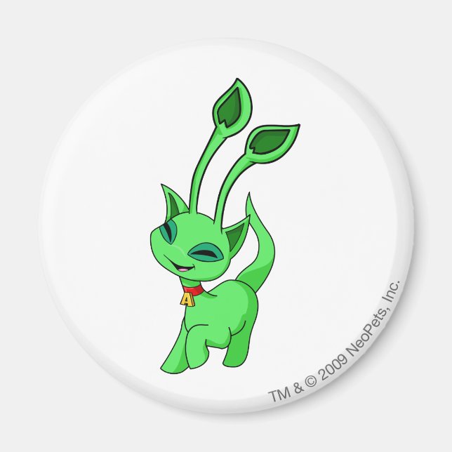 Íman Aisha Green (Frente)