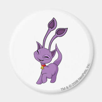 Íman Aisha Purple