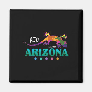 Íman Ajo Arizona EUA Sudoeste Deserto Gecko Férias Entã