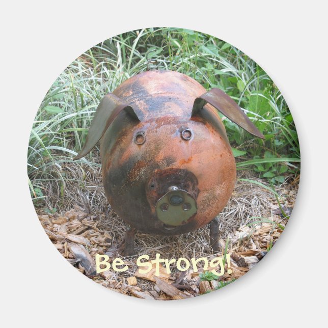 Íman Ajudas Dietéticas à Piggy Magnet (Frente)