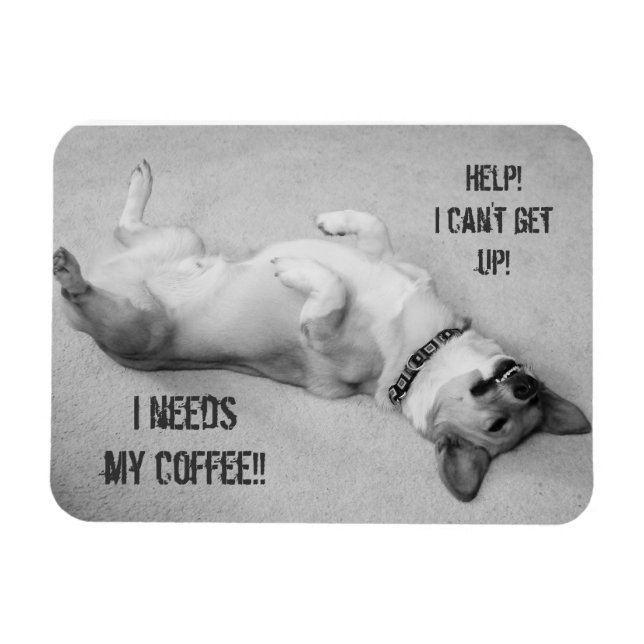 Íman Ajude-me a levantar o ímã (Horizontal)