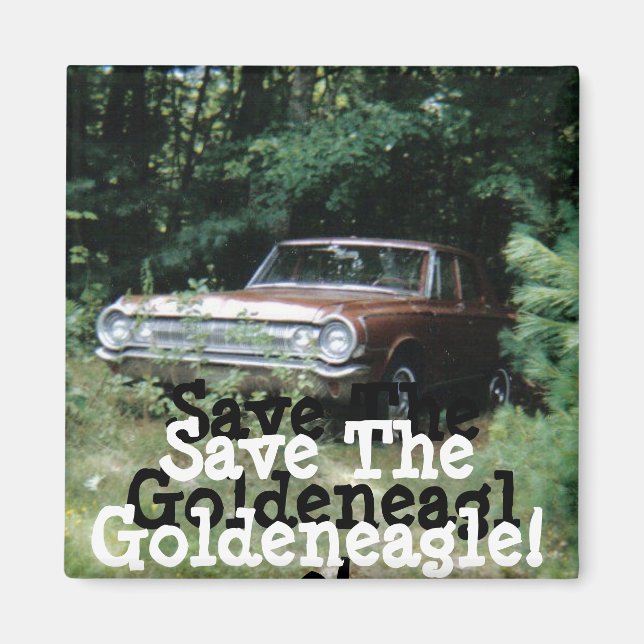 Íman Ajudei A Salvar A Águia De Goldenha Da Velha Praia (Frente)