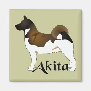 Íman Akita, detalhado