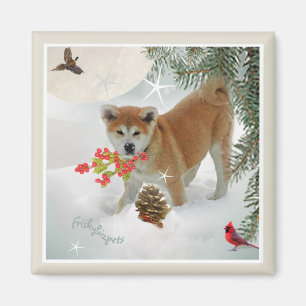 Íman Akita filhote brincando de neve