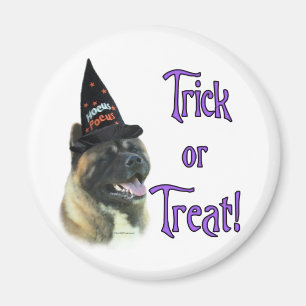 Íman Akita Trick