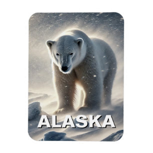 Íman Alasca Polar Bear Snowstorm