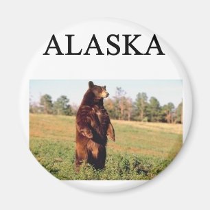 Íman Alaska