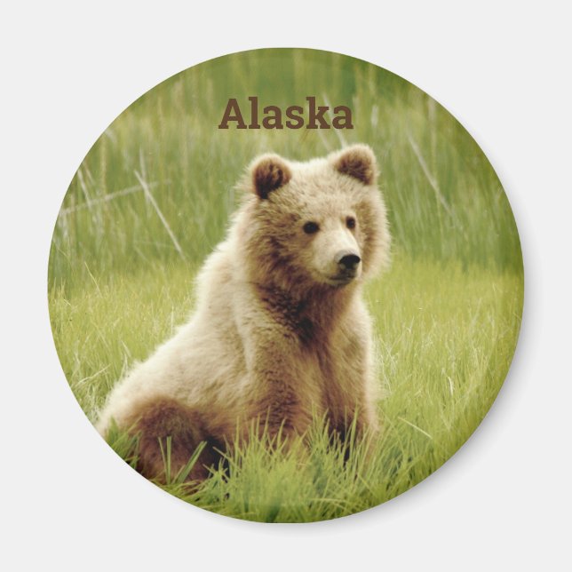 Íman Alaska Magnet com filhote de urso grizzle (Frente)