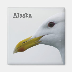 Íman Alaska Seagull Magnet