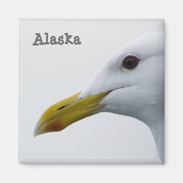 Íman Alaska Seagull Magnet (Frente)