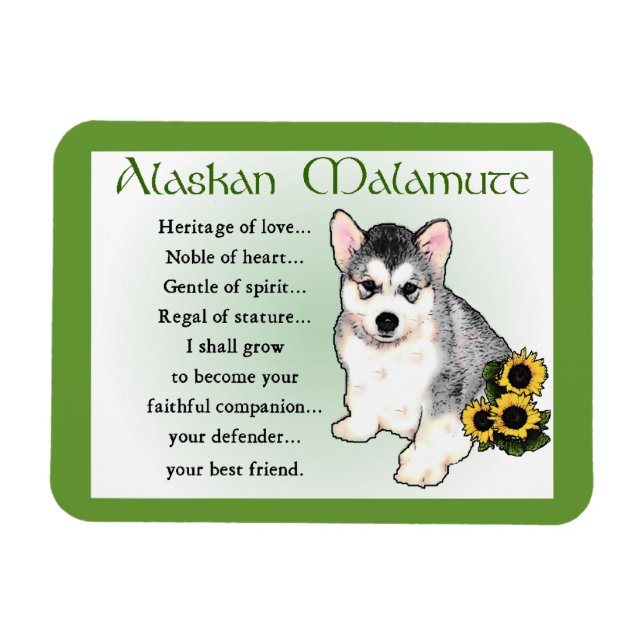 Íman Alaskan Malamute Dog Art (Horizontal)