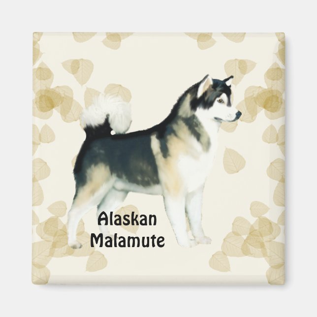 Íman Alaskan Malamute ~ Tan Deixa Motiff (Frente)