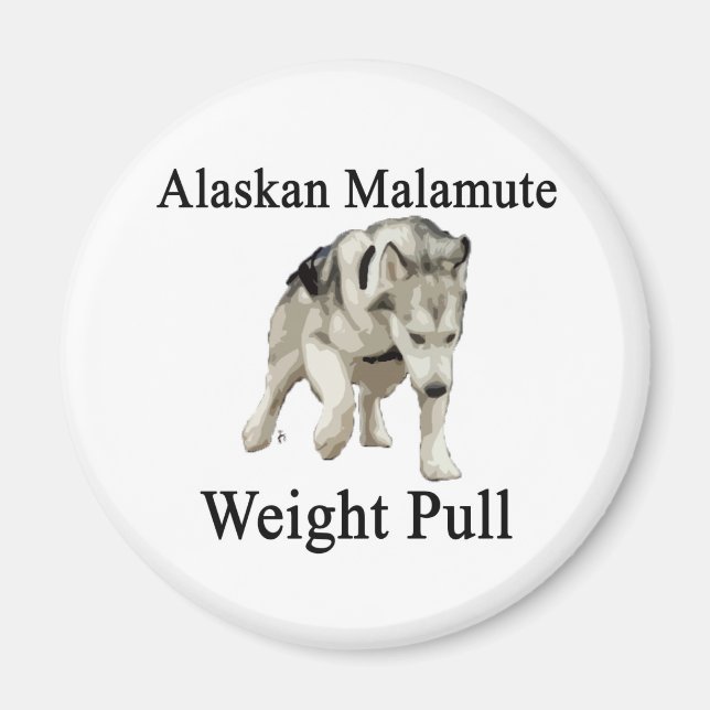 Íman Alaskan Malamute Weull (Frente)
