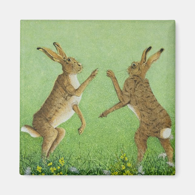 Íman Alavanca in a box (Frente)