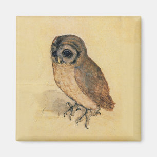 Íman Albrecht Durer a coruja pequena