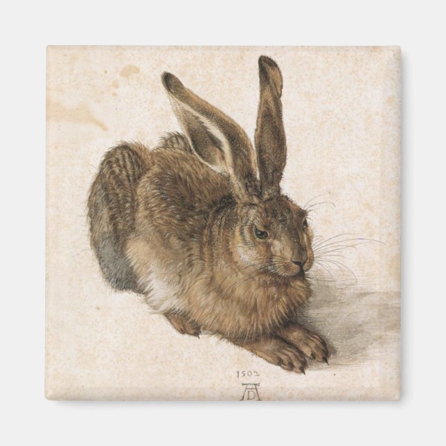 Íman Albrecht Dürer - Junger Hase (Young Hare), 1502 (Frente)