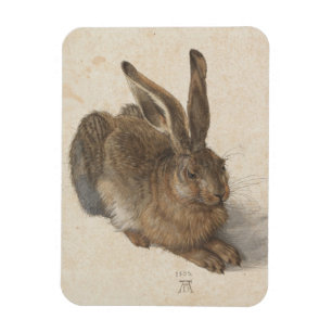 Íman Albrecht Dürer - Lebre