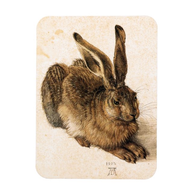 Íman Albrecht Durer Young Hare (Vertical)