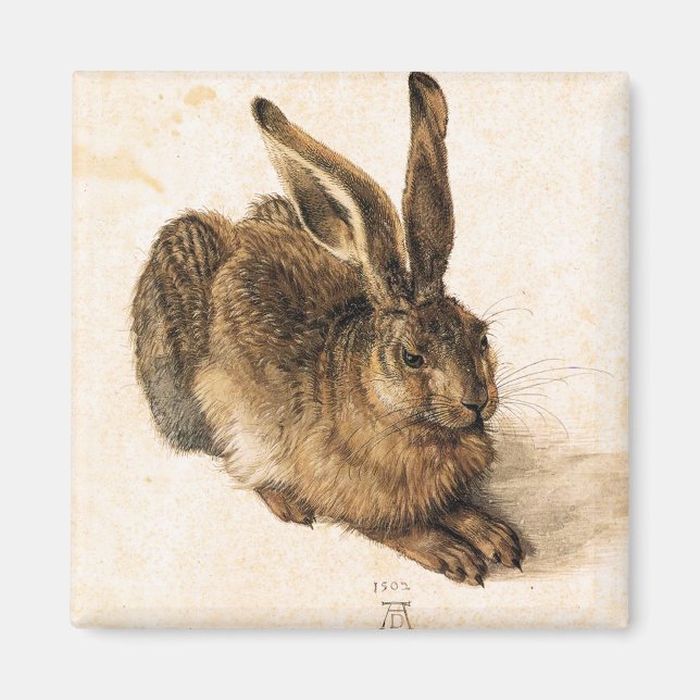 Íman Albrecht Durer Young Hare Magnet (Frente)