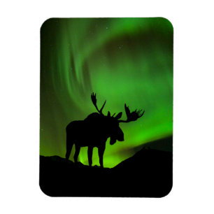 Íman Alce com Aurora Verde Borealis, Alasca