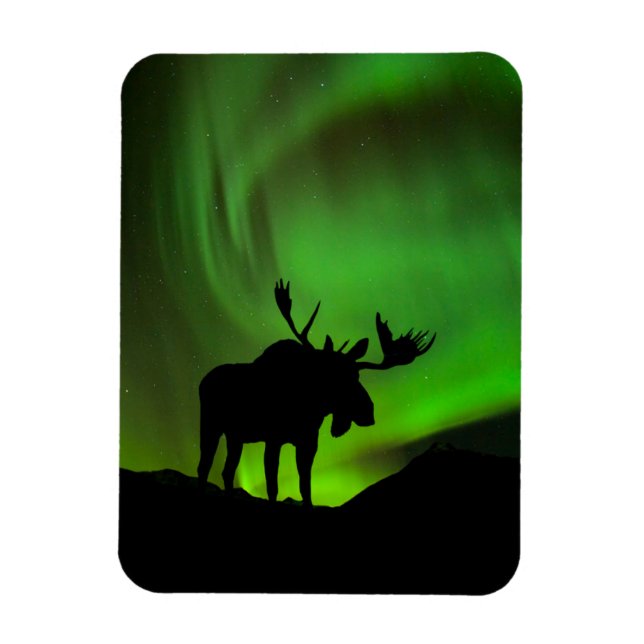 Íman Alce com Aurora Verde Borealis, Alasca (Vertical)