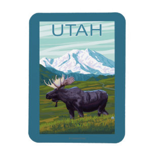 Íman Alce com MountainUtah