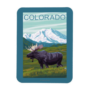 Íman Alces com MountainColorado