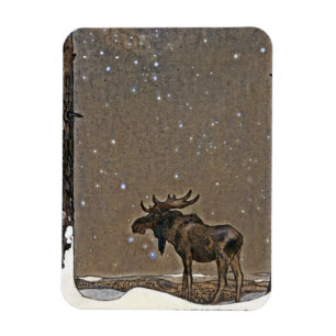 Íman Alces na neve