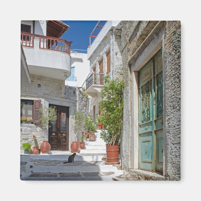 Íman Aldeia de Naxos Ímã de Gatos (Frente)