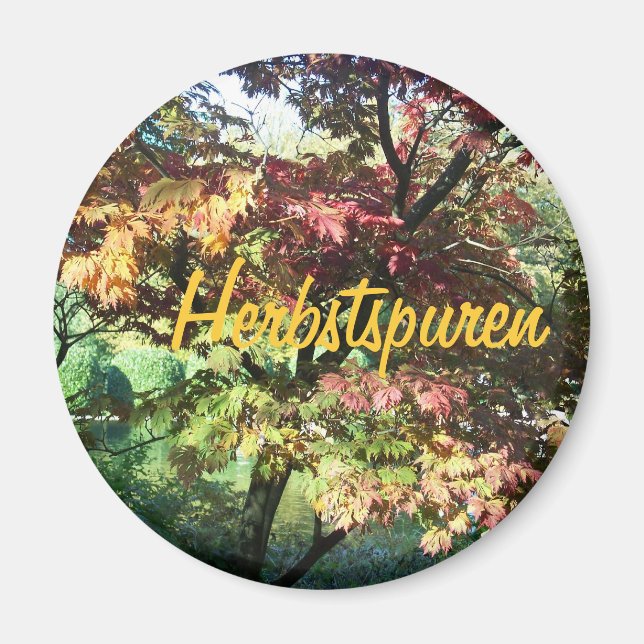 Íman Alegria no outono (Frente)