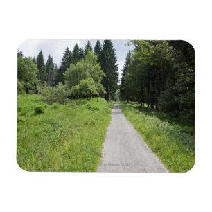 Íman Alemanha, Thuringia, trajeto na floresta