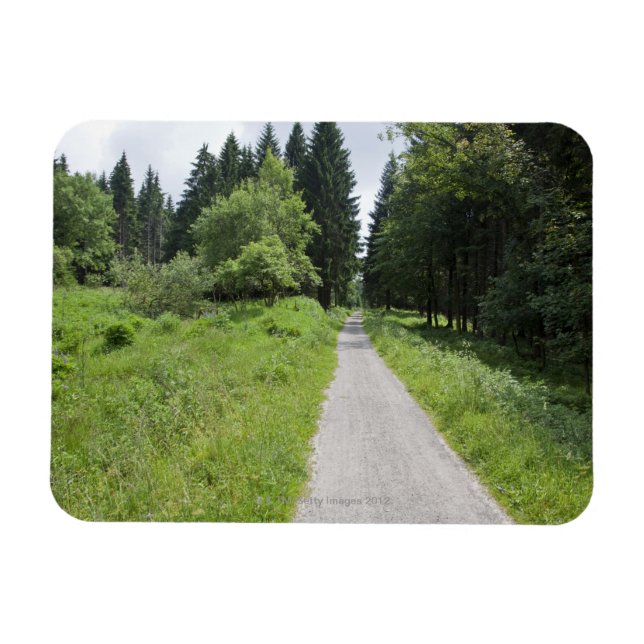 Íman Alemanha, Turíngia, caminho para a floresta (Horizontal)