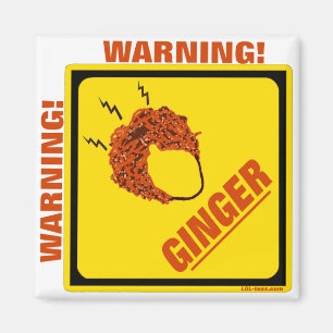 Íman Alerta do gengibre!