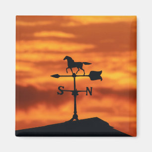 Íman Aleta de tempo no por do sol