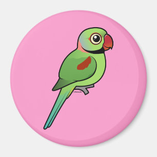 Íman Alexandrine Parakeet