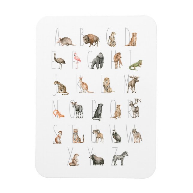 Íman Alfabeto Animal Cóteo (Vertical)