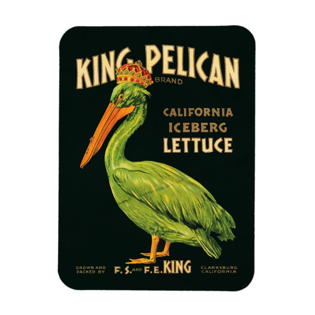Íman Alface iceberg King Pelican (Vertical)