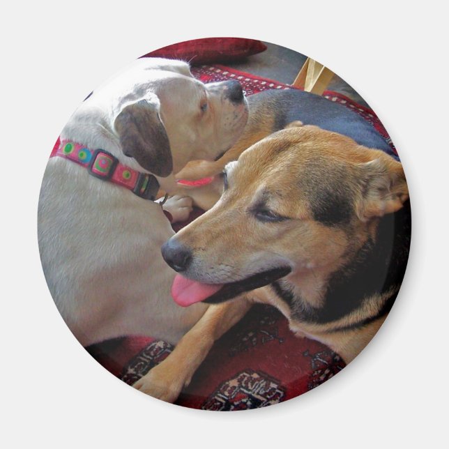 Íman Alfie & Holly: Melhores Buds (Frente)