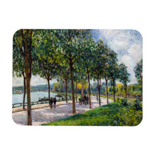 Íman Alfred Sisley - Alamedas de Castanheiras