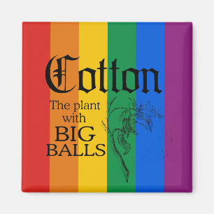 ÍMAN ALGODÃO: A PLANTA COM BOLAS GRANDES