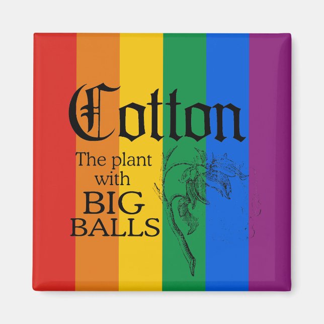 ÍMAN ALGODÃO: A PLANTA COM GRANDES BALAS (Frente)