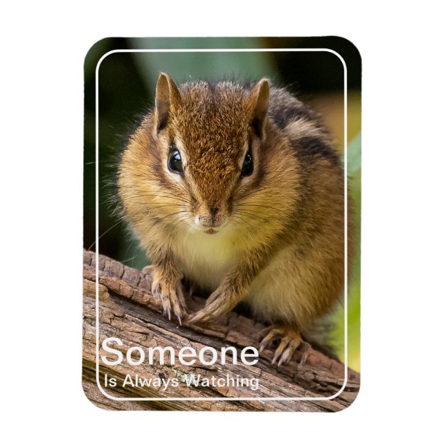 Íman Alguém está assistindo Chipmunk (Vertical)