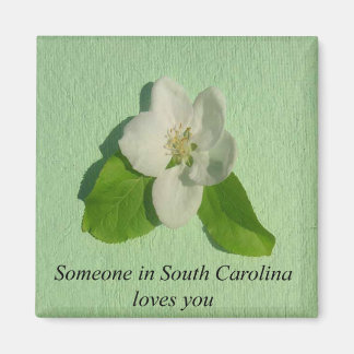 Íman Alguém Na Carolina Do Sul Te Ama - Flor De Maçã